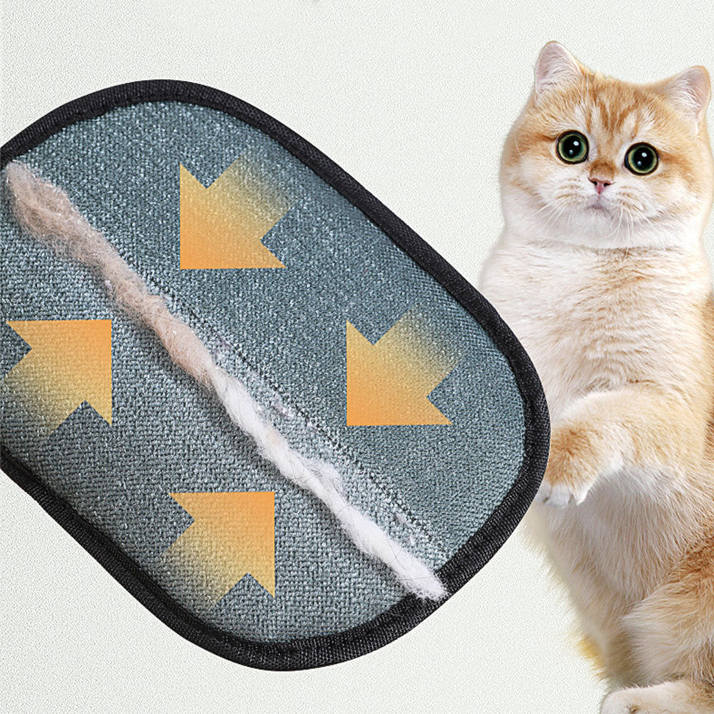 Lint Remover Mitt